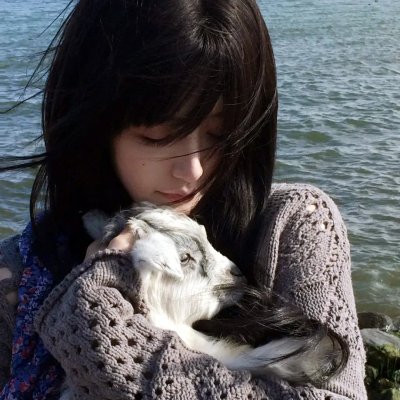 宇宙巨人希曼：启示录第一季